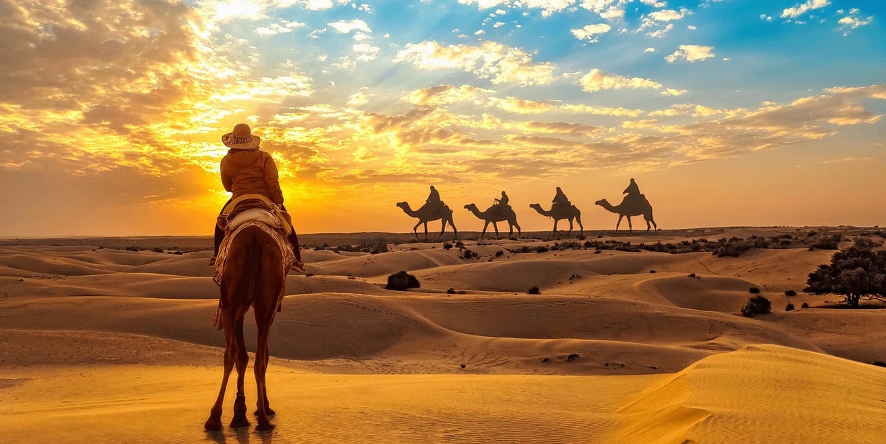  desert experience
